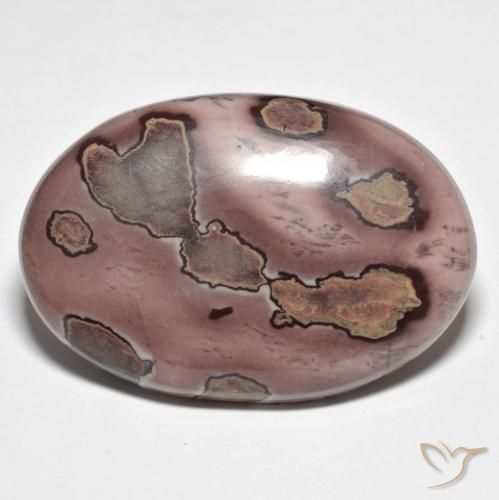 Jaspe Multicolor natural de 34.00 ct, Ovalada, Opaco