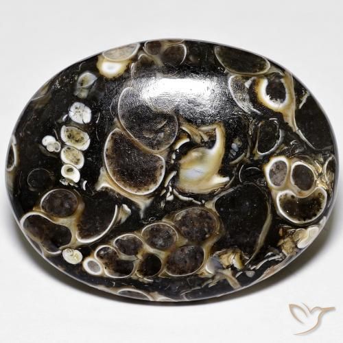 Jaspe Multicolor natural de 44.38 ct, Ovalada, Opaco