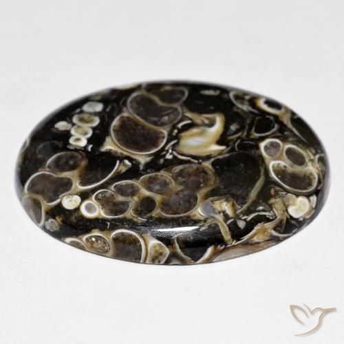 Jaspe Multicolor natural de 44.38 ct, Ovalada, Opaco