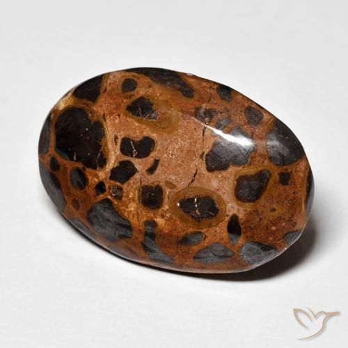 Jaspe Multicolor natural de 21.84 ct, Ovalada, Opaco