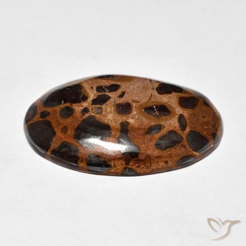 Jaspe Multicolor natural de 21.84 ct, Ovalada, Opaco