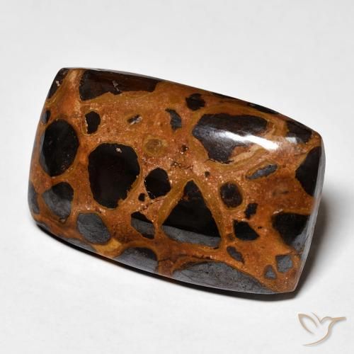 Jaspe Multicolor natural de 25.23 ct, Forma Cojín, Opaco