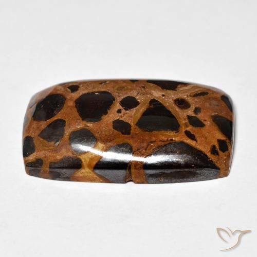 Jaspe Multicolor natural de 25.23 ct, Forma Cojín, Opaco