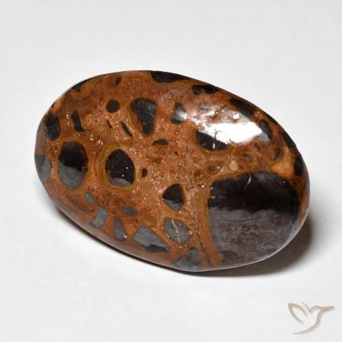 Jaspe Multicolor natural de 21.98 ct, Ovalada, Opaco