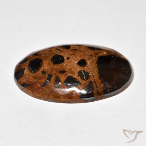 Jaspe Multicolor natural de 21.98 ct, Ovalada, Opaco