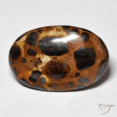 19.43ct Natural Multicolor Jaspe, Ovalada, Opaco