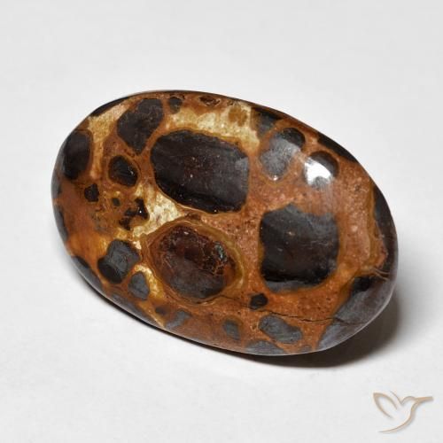Jaspe Multicolor natural de 19.43 ct, Ovalada, Opaco