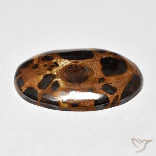 Jaspe Multicolor natural de 19.43 ct, Ovalada, Opaco