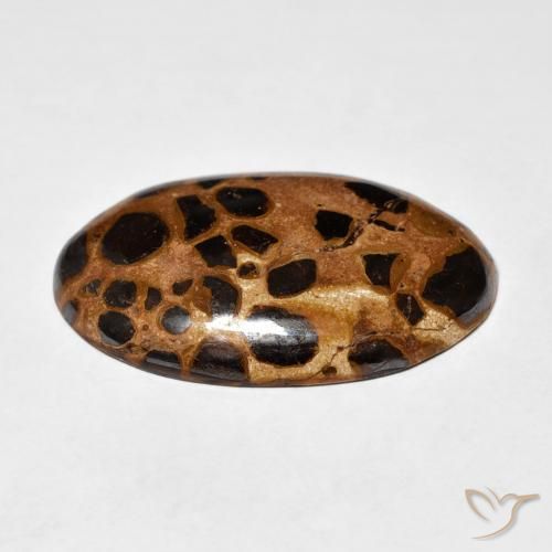 Jaspe Multicolor natural de 20.50 ct, Ovalada, Opaco