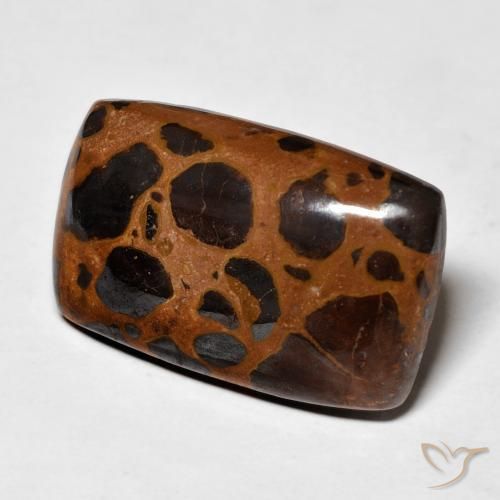 Jaspe Multicolor natural de 22.00 ct, Forma Cojín, Opaco