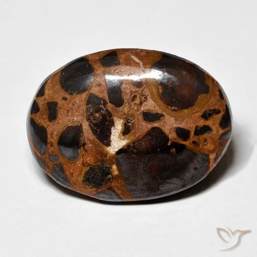 19.16ct Natural Multicolor Jaspe, Ovalada, Opaco