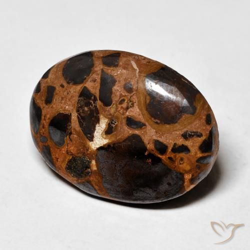 Jaspe Multicolor natural de 19.16 ct, Ovalada, Opaco