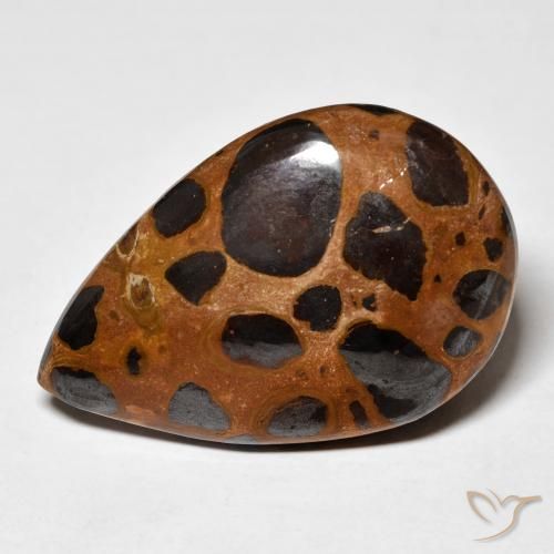 24.78ct Natural Multicolor Jaspe, En forma de pera, Opaco