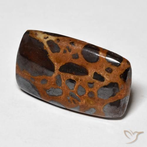 Jaspe Multicolor natural de 20.26 ct, Forma Cojín, Opaco