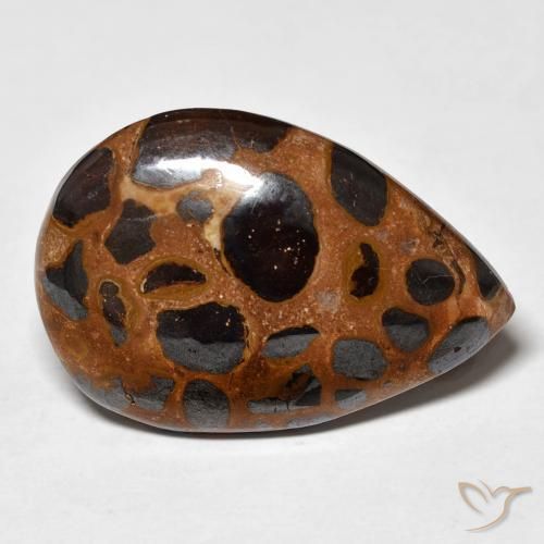 Jaspe Multicolor natural de 21.66 ct, En forma de pera, Opaco