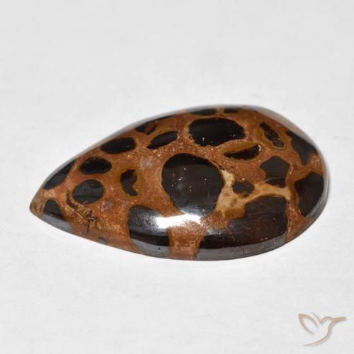Jaspe Multicolor natural de 21.66 ct, En forma de pera, Opaco