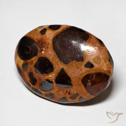 Jaspe Multicolor natural de 17.45 ct, Ovalada, Opaco