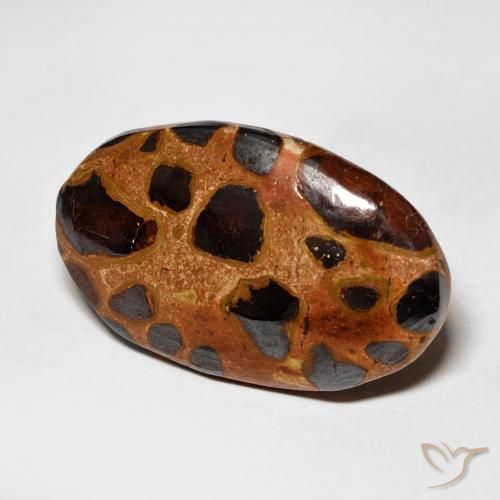 Jaspe Multicolor natural de 15.06 ct, Ovalada, Opaco