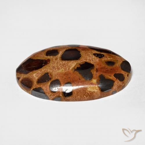 Jaspe Multicolor natural de 15.06 ct, Ovalada, Opaco