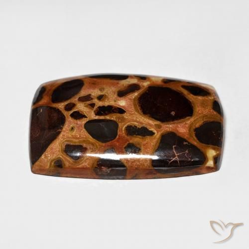 Jaspe Multicolor natural de 20.65 ct, Forma Cojín, Opaco