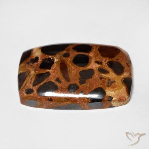 Jaspe Multicolor natural de 18.87 ct, Forma Cojín, Opaco