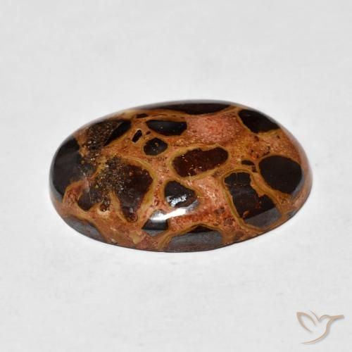 Jaspe Multicolor natural de 14.26 ct, Ovalada, Opaco