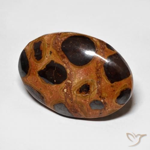 Jaspe Multicolor natural de 16.68 ct, Ovalada, Opaco