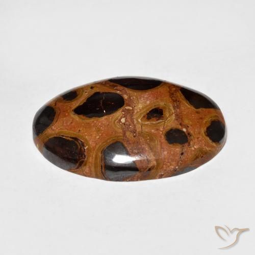 Jaspe Multicolor natural de 16.68 ct, Ovalada, Opaco