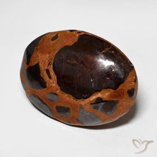 Jaspe Multicolor natural de 13.64 ct, Ovalada, Opaco