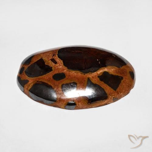 Jaspe Multicolor natural de 13.64 ct, Ovalada, Opaco