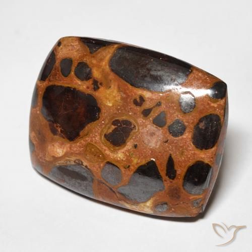 Jaspe Multicolor natural de 19.46 ct, Forma Cojín, Opaco