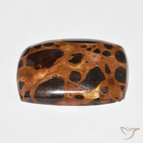 Jaspe Multicolor natural de 19.46 ct, Forma Cojín, Opaco