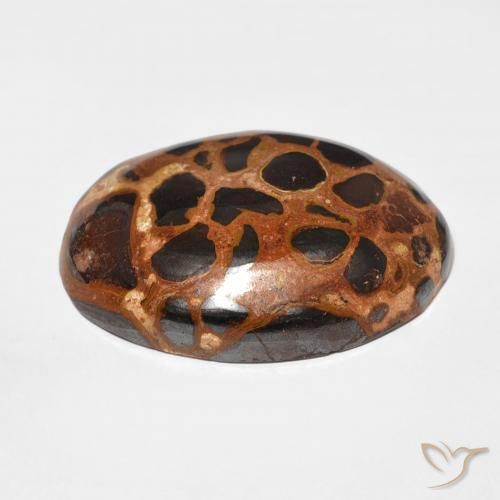 Jaspe Multicolor natural de 25.43 ct, Ovalada, Opaco