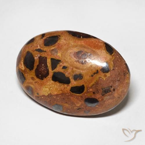 Jaspe Multicolor natural de 13.09 ct, Ovalada, Opaco