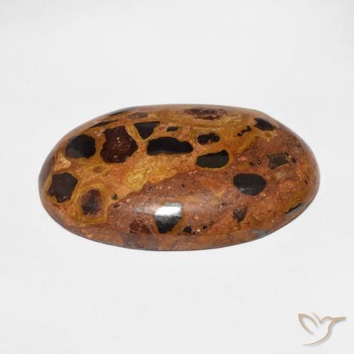 Jaspe Multicolor natural de 13.09 ct, Ovalada, Opaco