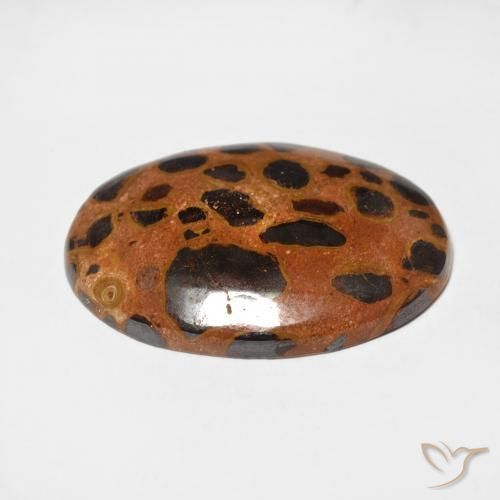 Jaspe Multicolor natural de 17.25 ct, Ovalada, Opaco