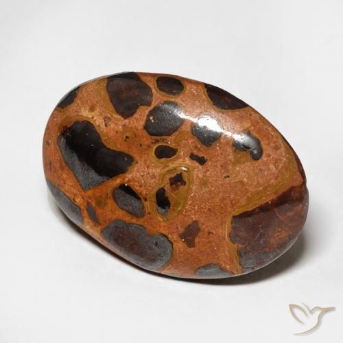 Jaspe Multicolor natural de 17.08 ct, Ovalada, Opaco