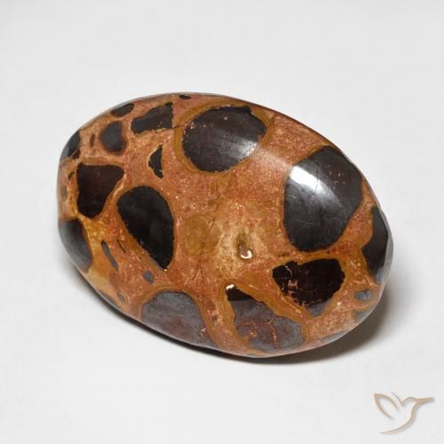 Jaspe Multicolor natural de 17.65 ct, Ovalada, Opaco