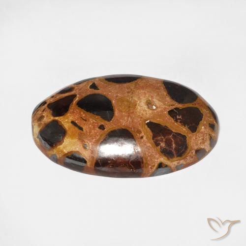 Jaspe Multicolor natural de 17.65 ct, Ovalada, Opaco