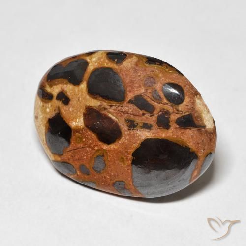 Jaspe Multicolor natural de 15.22 ct, Ovalada, Opaco