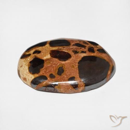 Jaspe Multicolor natural de 15.22 ct, Ovalada, Opaco