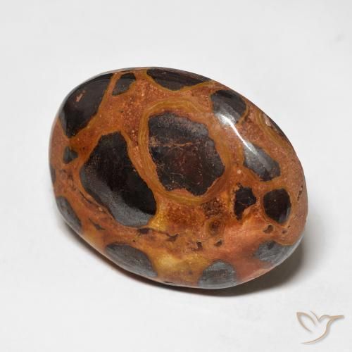 Jaspe Multicolor natural de 17.65 ct, Ovalada, Opaco