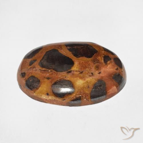 Jaspe Multicolor natural de 17.65 ct, Ovalada, Opaco