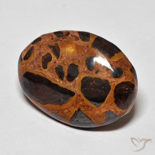 Jaspe Multicolor natural de 17.26 ct, Ovalada, Opaco