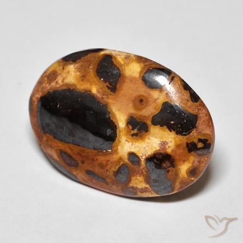 Jaspe Multicolor natural de 12.26 ct, Ovalada, Opaco