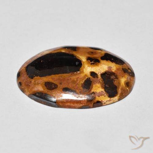 Jaspe Multicolor natural de 12.26 ct, Ovalada, Opaco