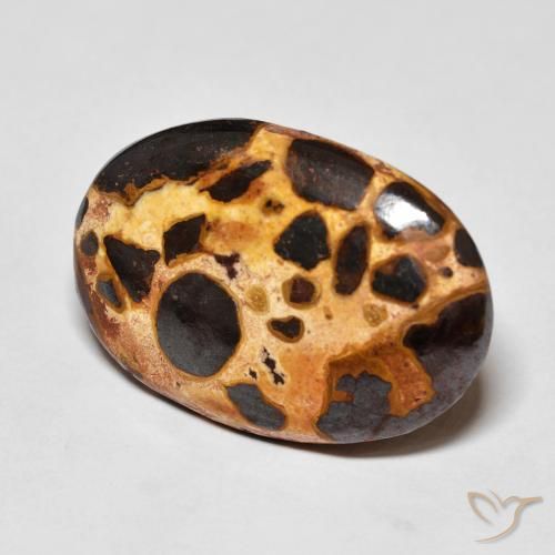 Jaspe Multicolor natural de 16.03 ct, Ovalada, Opaco