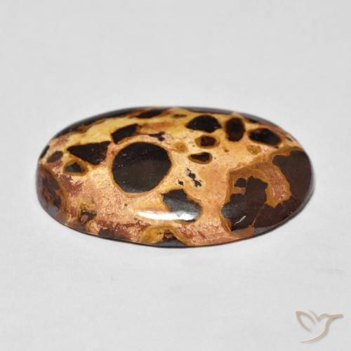 Jaspe Multicolor natural de 16.03 ct, Ovalada, Opaco