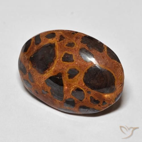 Jaspe Multicolor natural de 13.01 ct, Ovalada, Opaco