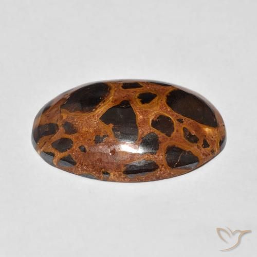 Jaspe Multicolor natural de 13.01 ct, Ovalada, Opaco